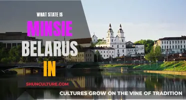 Minsie Belarus: Exploring the Unique State's Identity