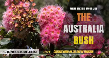 Exploring the U.S. State That Mirrors Australia's Bush Landscape