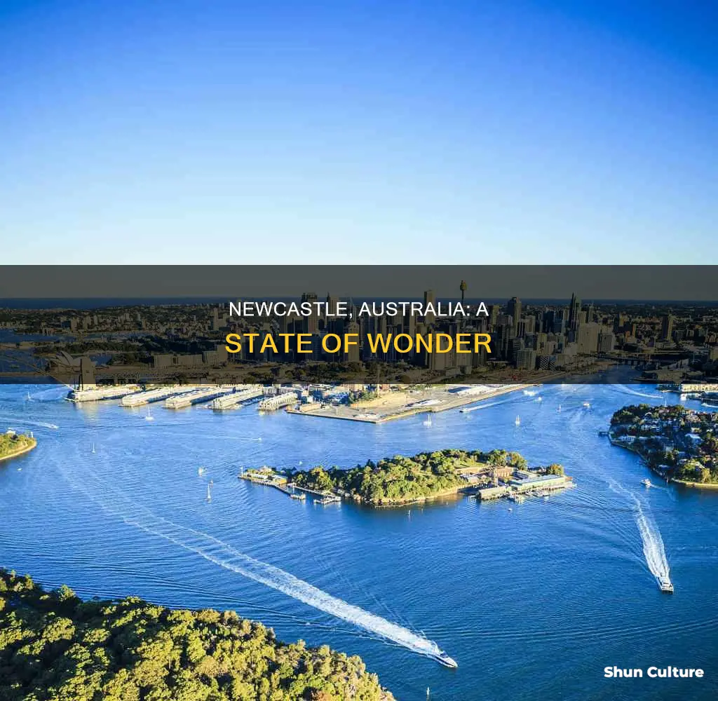 what state is newcastle australia
