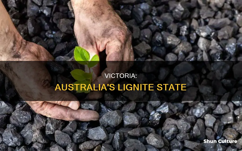what state of australia is known for lignite
