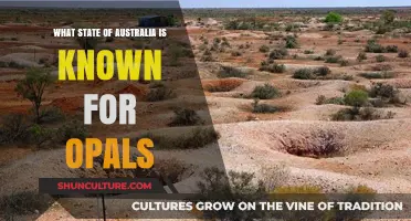 Opal Discovery: Australia's Gem State