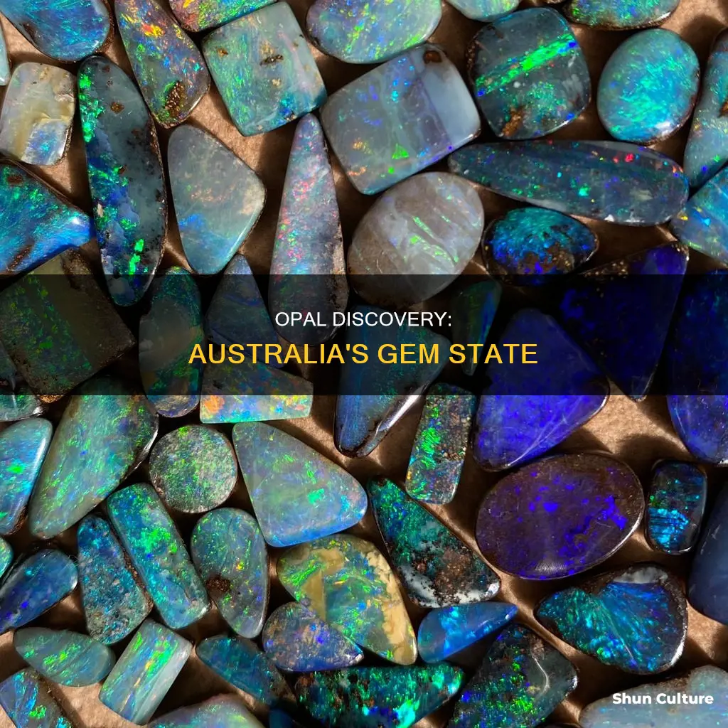 what state of australia is known for opals