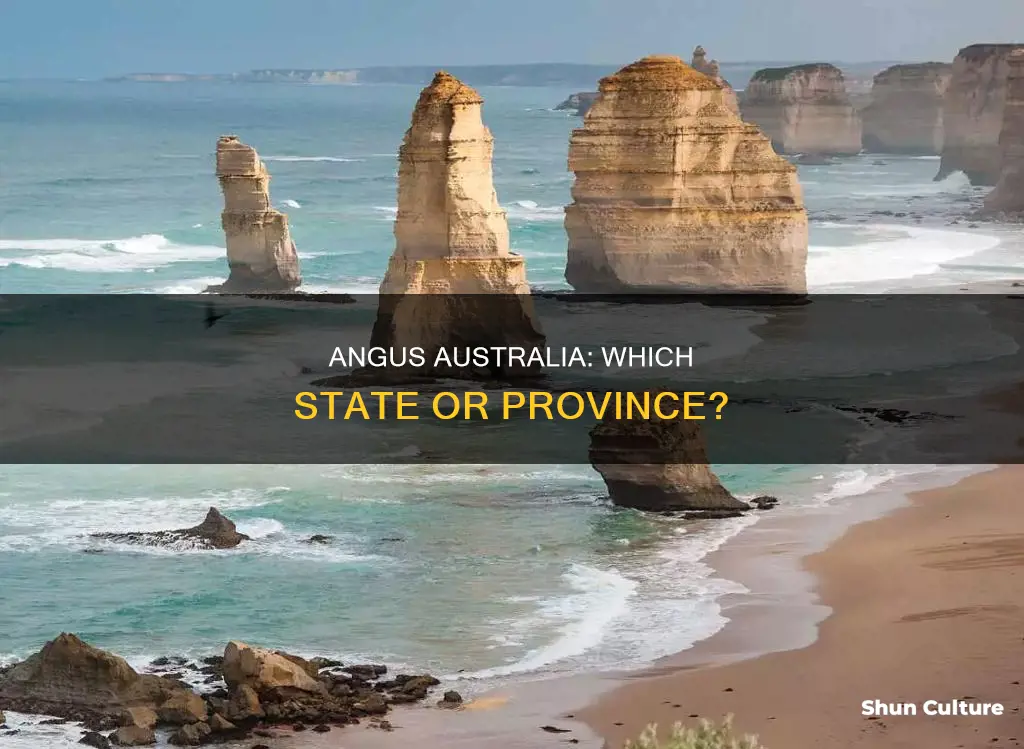 what state or province is angus australia