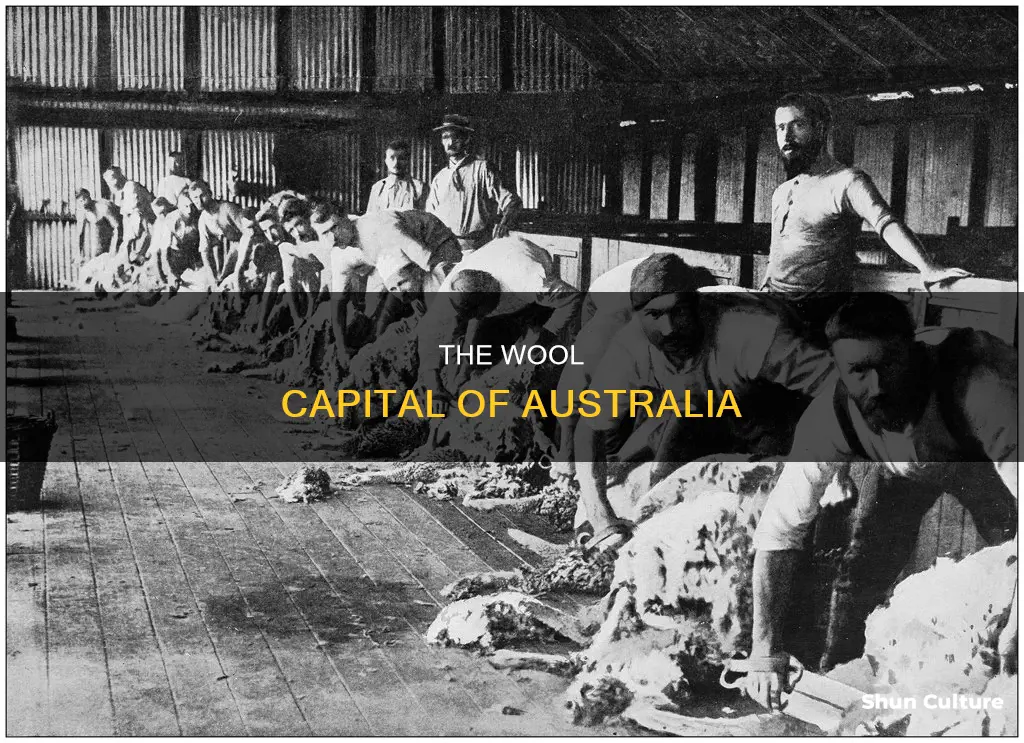 what state produces the most wool in australia