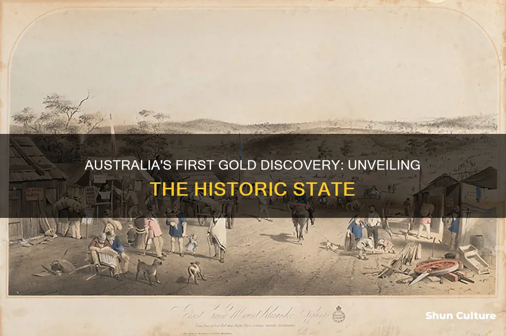 what state was gold first found in australia