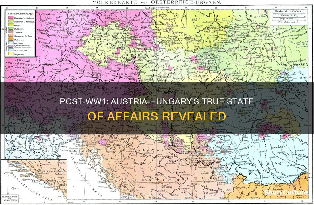 what statement was true about austria-hungary after ww1