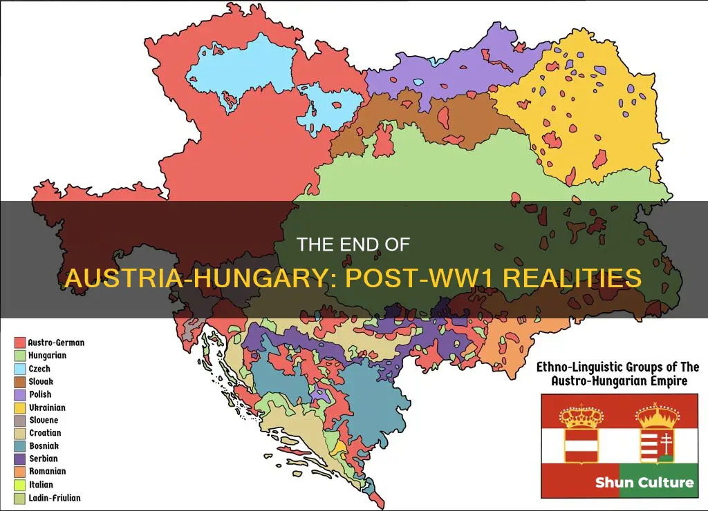 what statement was true about austria-hungary after ww1