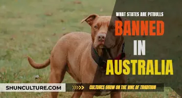 Are Pitbulls Banned in Certain Australian States?