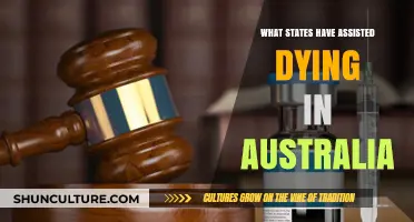 Assisted Dying Laws in Australia: State-by-State Overview