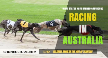 Greyhound Racing: Which Australian States Have Banned It?