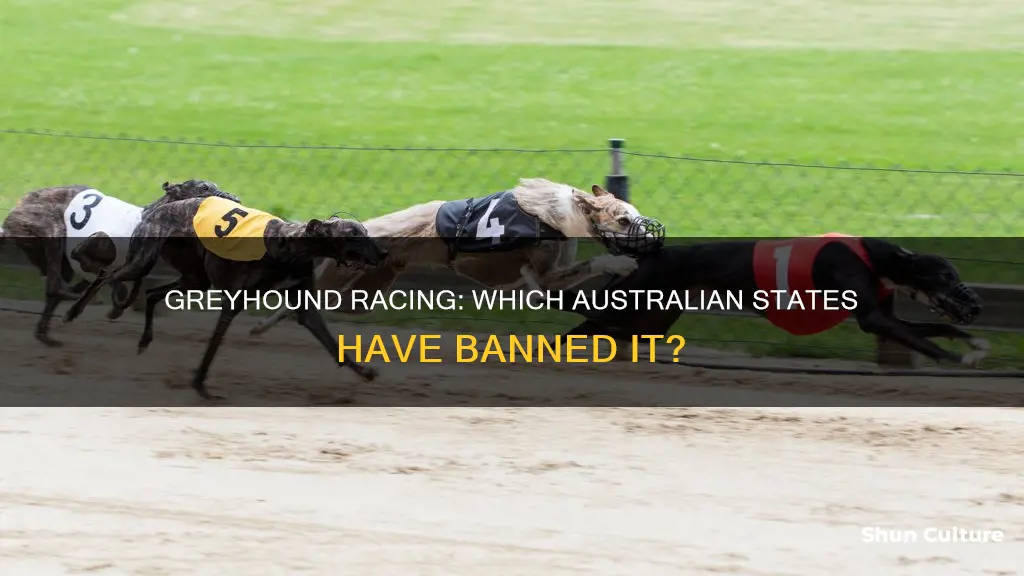 what states have banned greyhound racing in australia