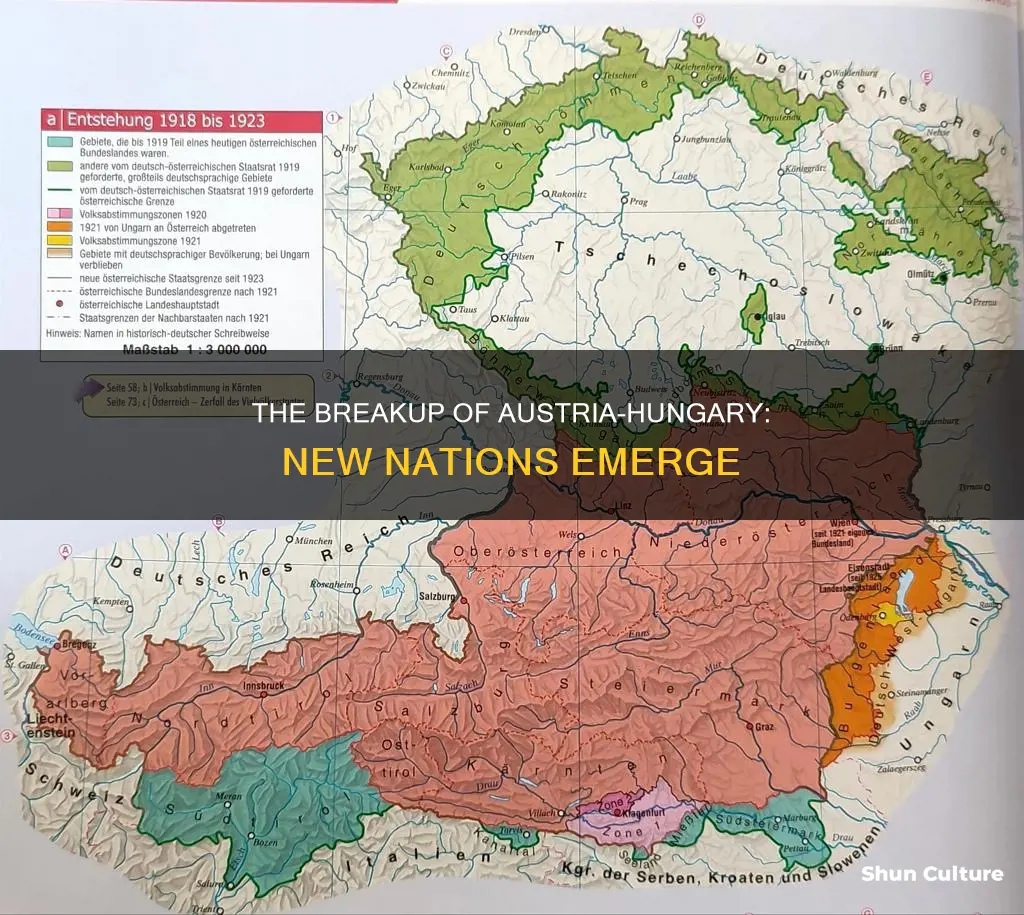 what states was austria hungary split into