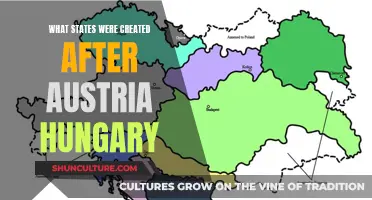 Post-Austria-Hungary: The Birth of New Nations