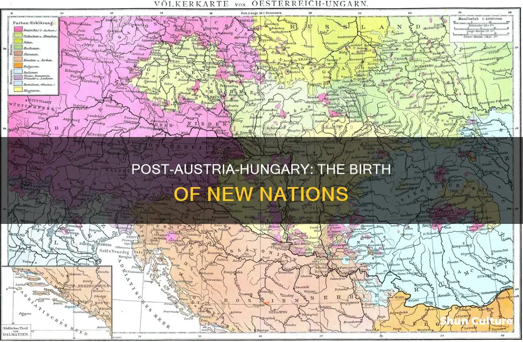 what states were created after austria hungary