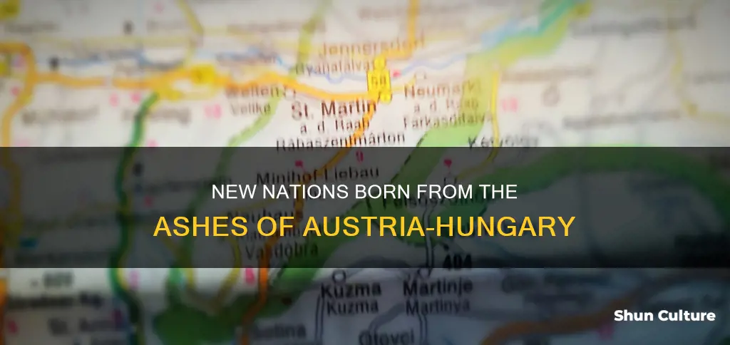 what states were created after austria hungary