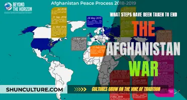 The Long Road to Peace: Navigating the Steps to End the Afghanistan War