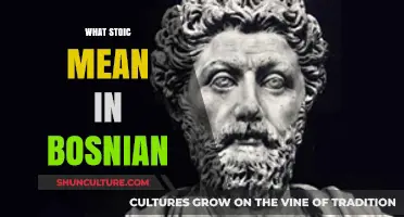 Understanding Stoicism: What Does 'Stoic' Mean in Bosnian Culture?