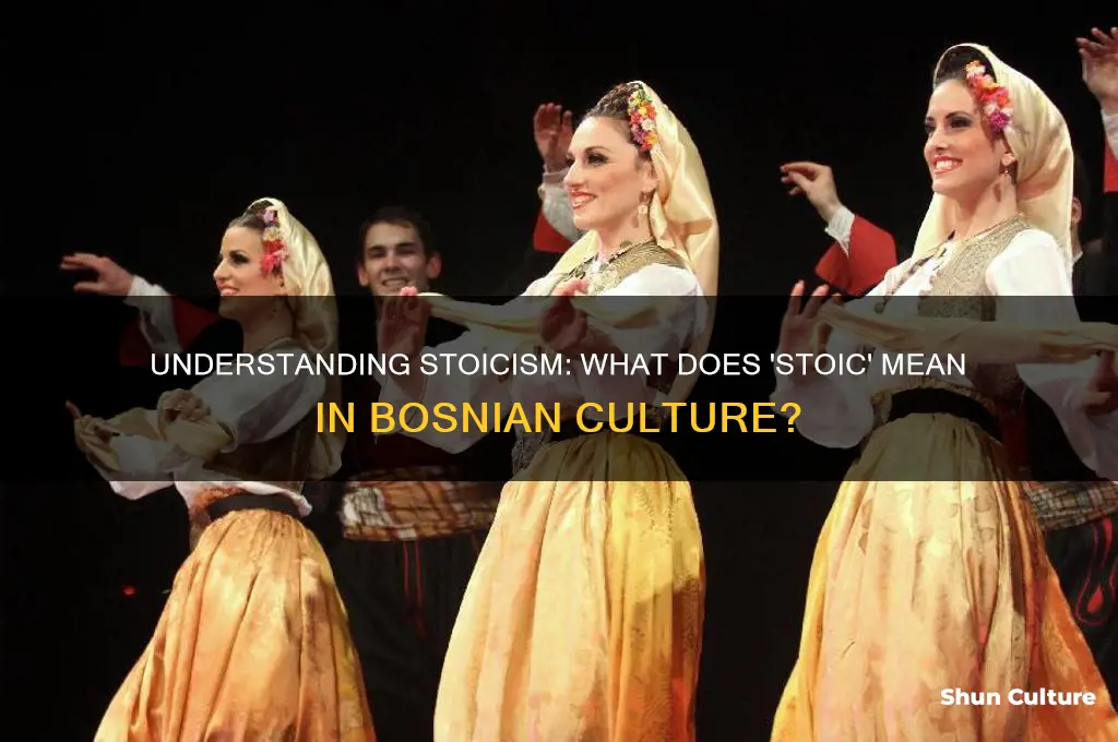 what stoic mean in bosnian