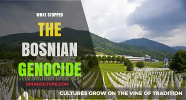 Ending the Bosnian Genocide: Key Factors That Halted the Atrocities