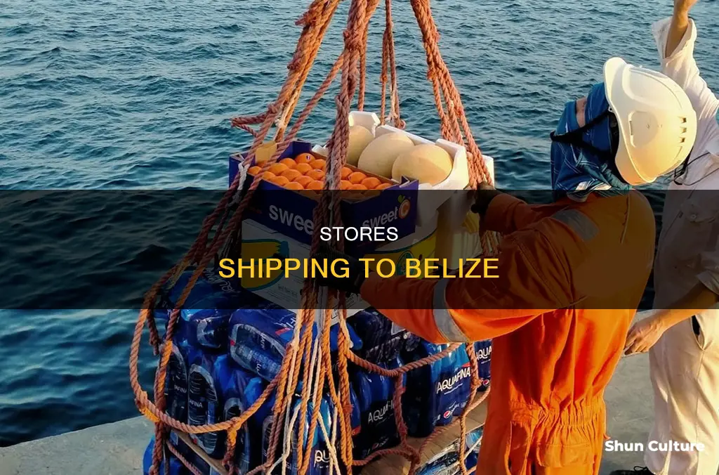 what stores ship to belize