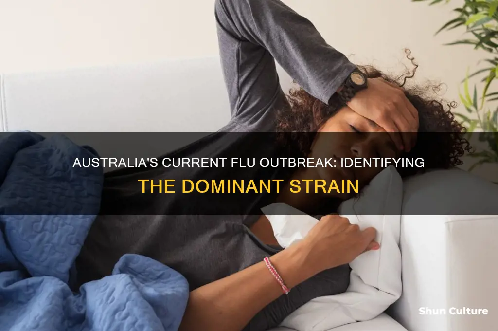 what strain of flu is going around australia