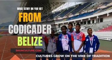 Codicader Belize: Tech Tools and More