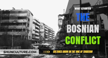 Unraveling the Origins: The Spark of the Bosnian Conflict