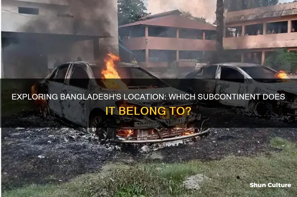 what subcontinent is bangladesh in