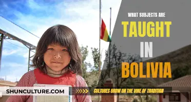 Education in Bolivia: Unique Curriculum and Subjects Taught