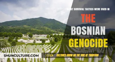 Survival Strategies Amidst the Bosnian Genocide: Resilience and Tactics Revealed