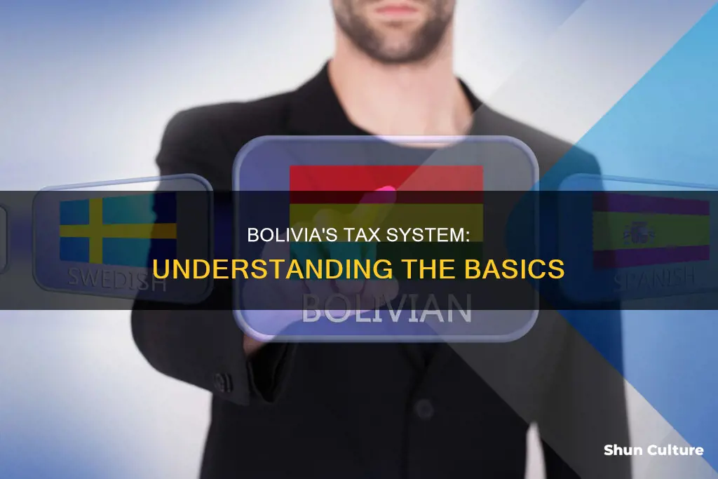 what tax system does bolivia have