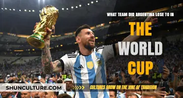 Argentina's World Cup Defeat: A Look Back at the Match