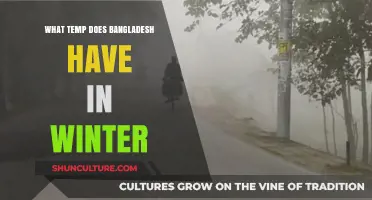 Winter in Bangladesh: Exploring the Country's Mild Seasonal Temperatures