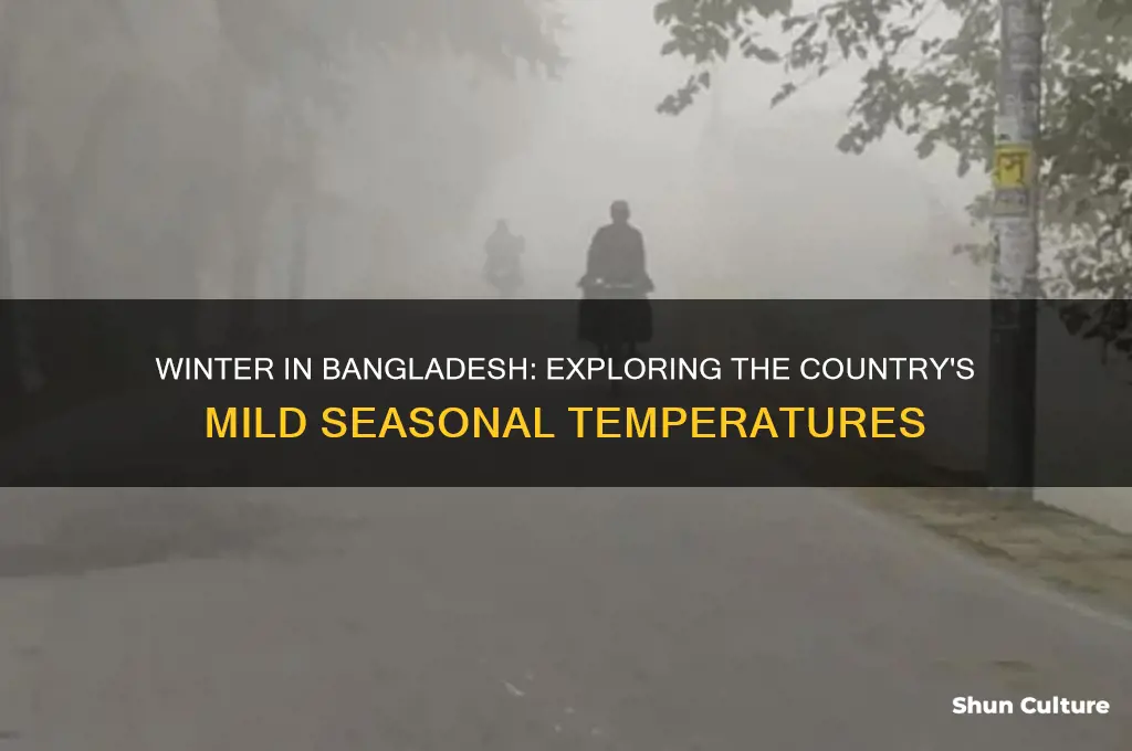 what temp does bangladesh have in winter