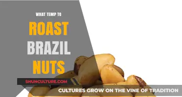 Perfectly Roasted Brazil Nuts: Ideal Temperature Guide for Crunchy Goodness