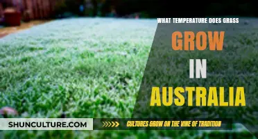 Grass Growth in Australia: What Temperature is Needed?