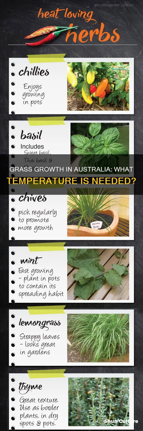 what temperature does grass grow in australia