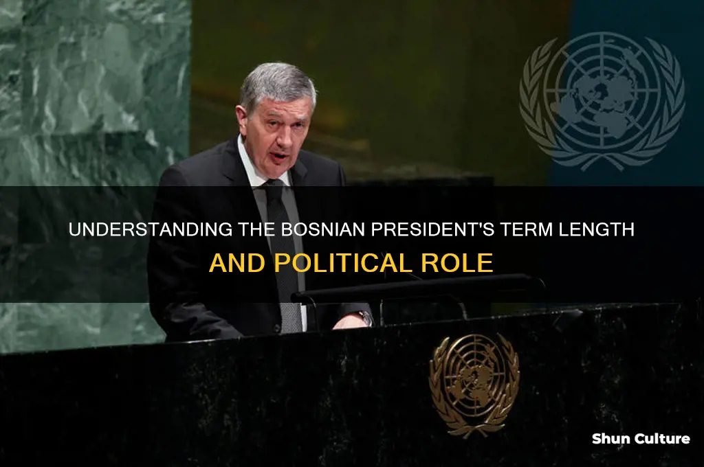 what term is bosnian president in