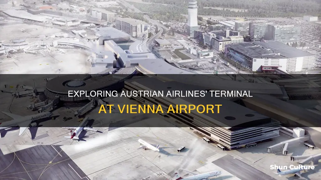 what terminal does austrian airlines fly from vienna