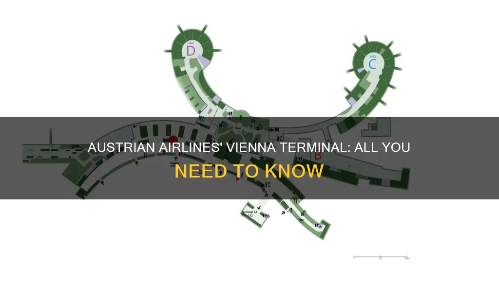 what terminal does austrian airlines fly from vienna