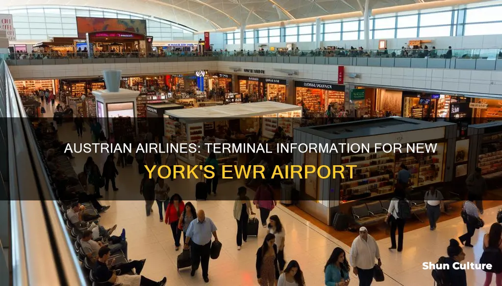 what terminal does austrian land at ewr