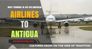 American Airlines JFK Terminal Guide: Flying to Antigua Made Easy