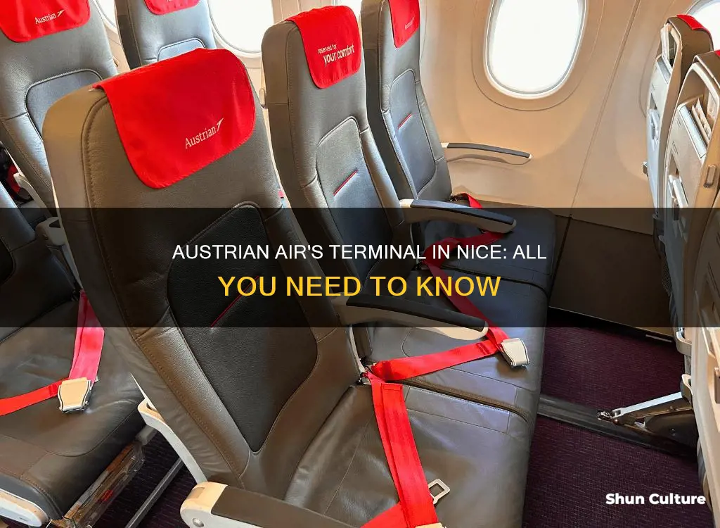 what terminal is austrian air in nice