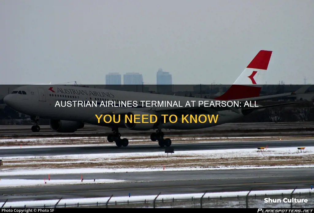 what terminal is austrian airlines at pearson