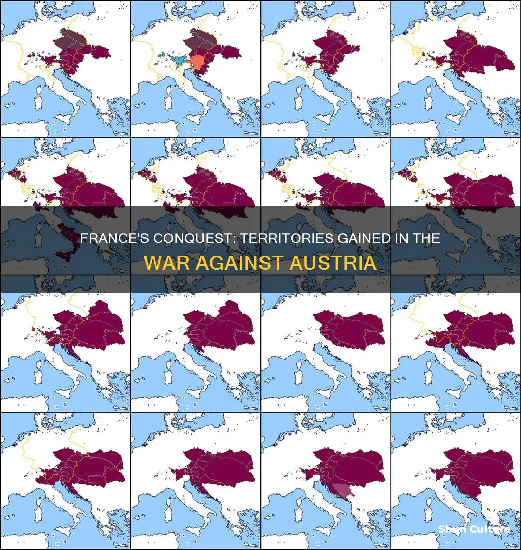 what territories did france gained during the war against austria