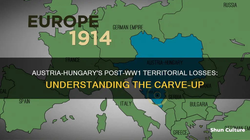 what territory did austria hungary lose after ww1