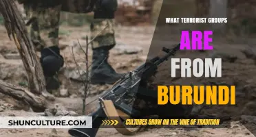 Unveiling Burundi's Terrorist Organizations: A Comprehensive Overview