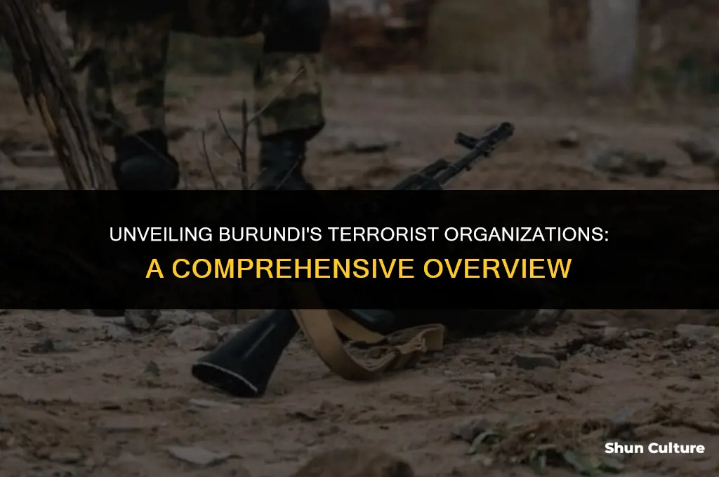 what terrorist groups are from burundi