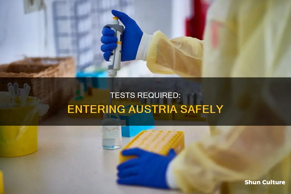 what test do I need to enter austria