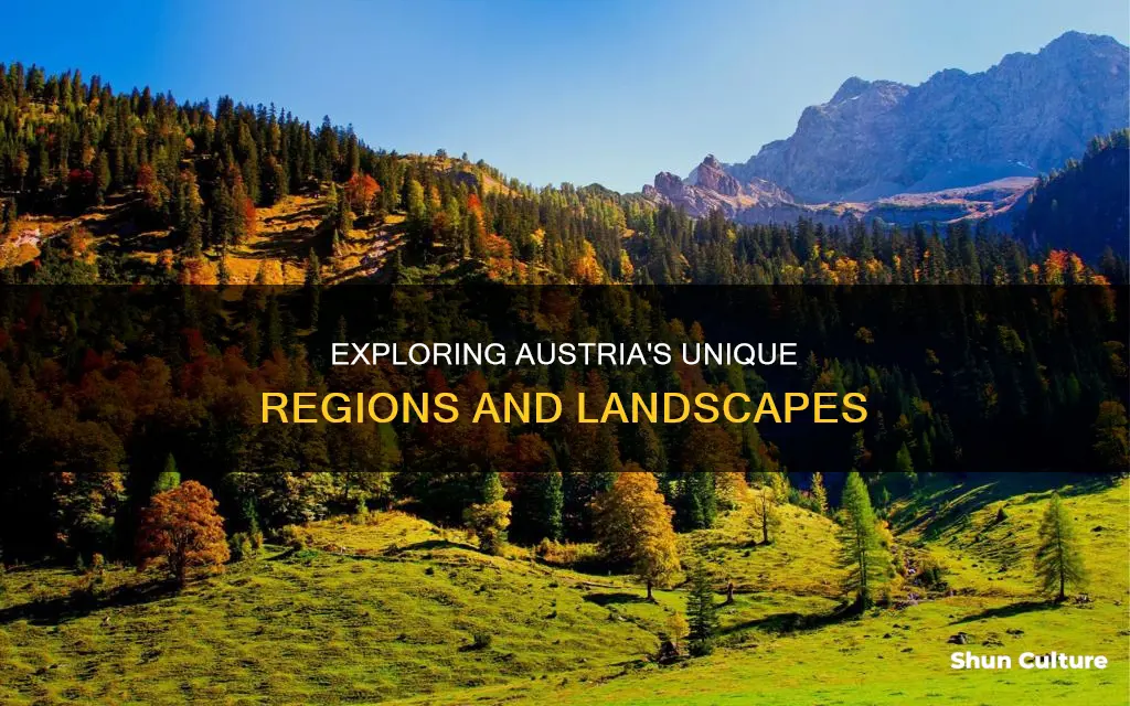 what the area like in austria